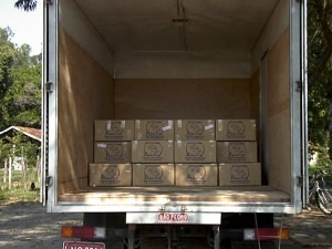 imgi 12 big camin 300x225 1