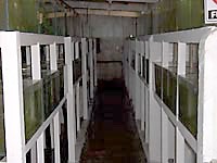 imgi 7 aquarios 01